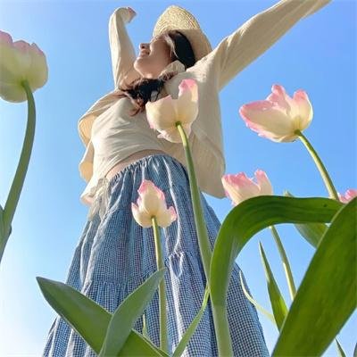 七美疑云